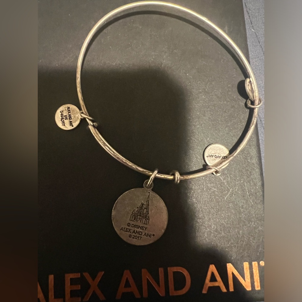 Disney Magic kingdom Alex and Ani bracelet